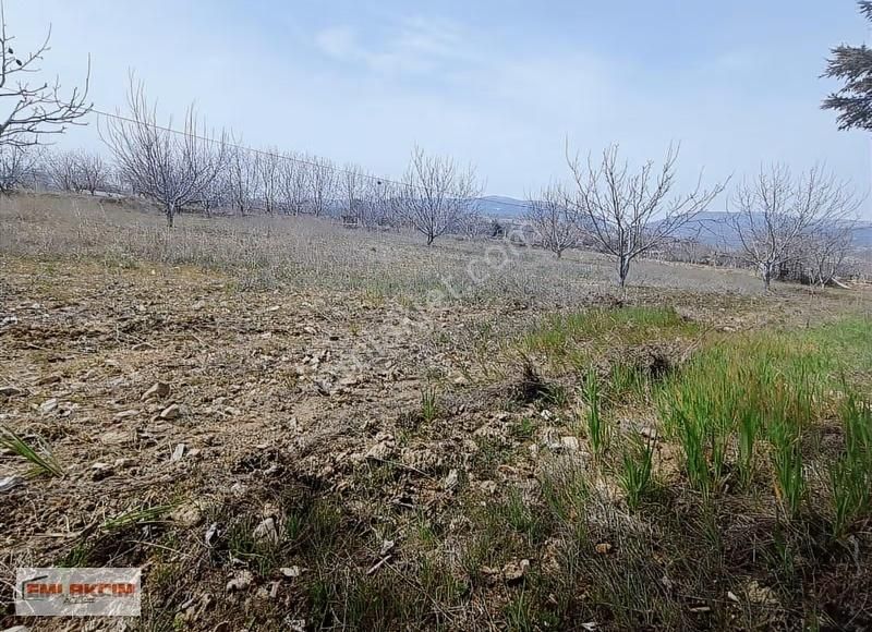 Korkuteli Yelten De Anayola Sıfır Satılık Tarla - Görsel 3