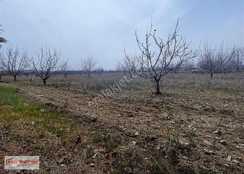 Korkuteli Yelten De Anayola Sıfır Satılık Tarla - Görsel 4