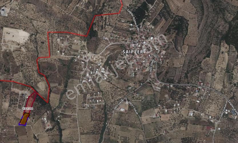 Turpa Lotustan Torbalı Saiplerde Satılık Zeytinlik - Görsel 3