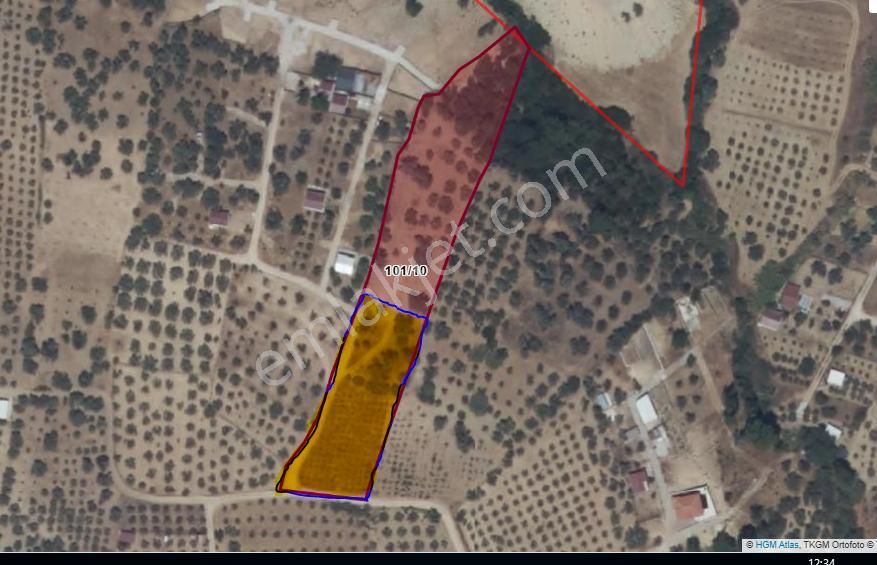 Turpa Lotustan Torbalı Saiplerde Satılık Zeytinlik - Görsel 2