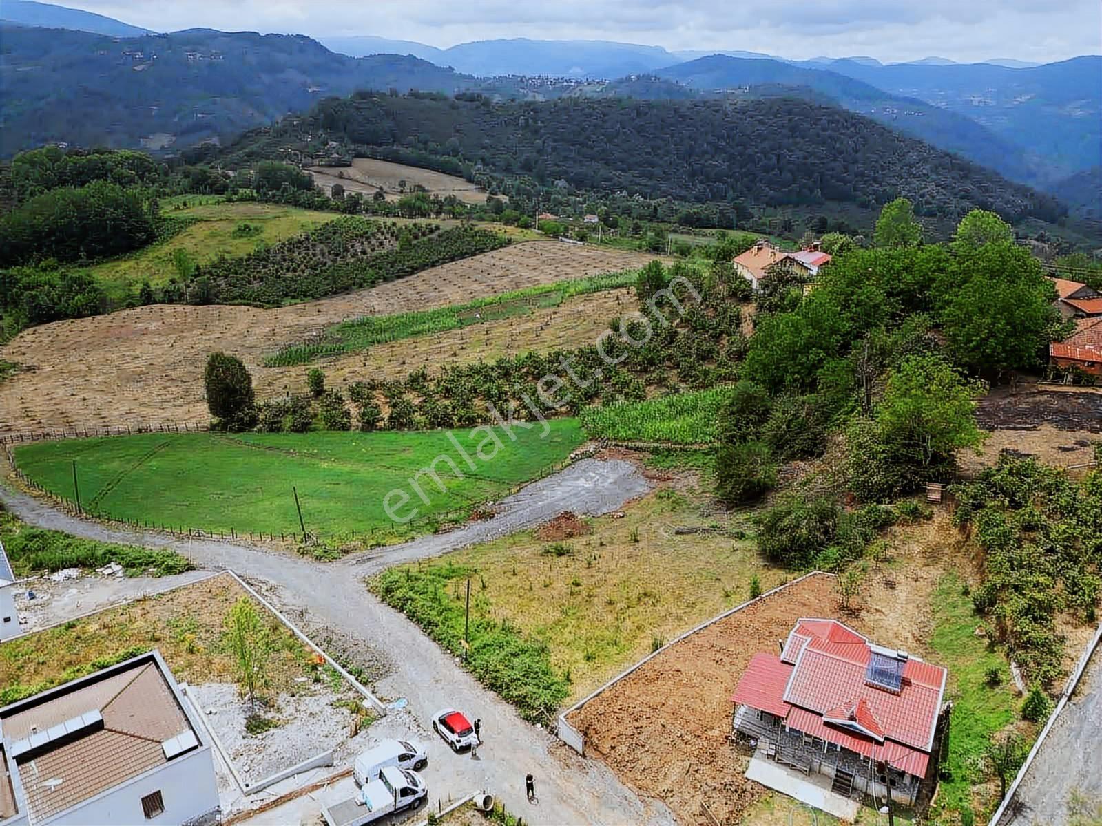 Ruşen Aydın Gayrimenkul'den Kaynaşlı Çamoluk Satılık Arsa - Görsel 16