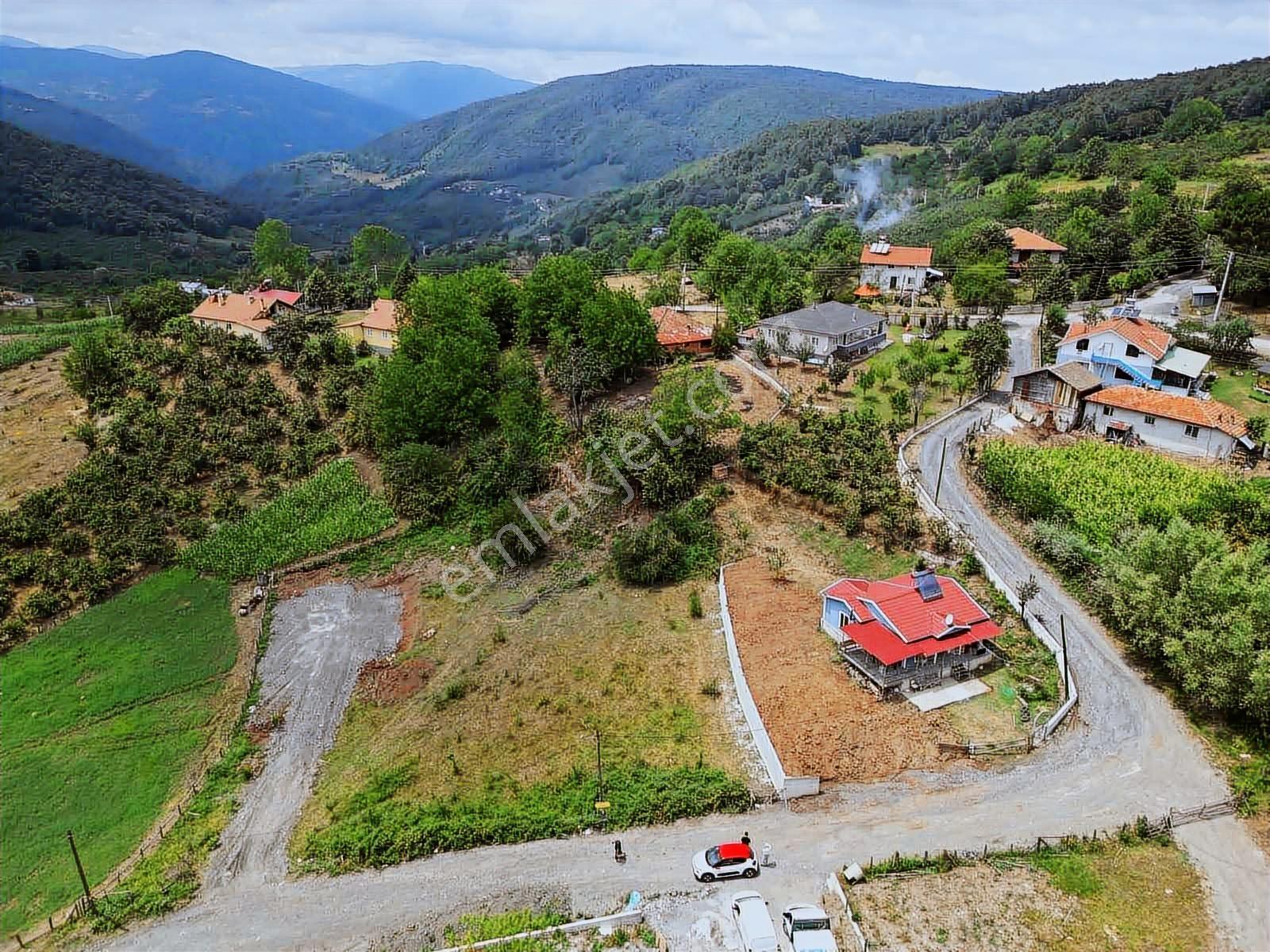 Ruşen Aydın Gayrimenkul'den Kaynaşlı Çamoluk Satılık Arsa - Görsel 10
