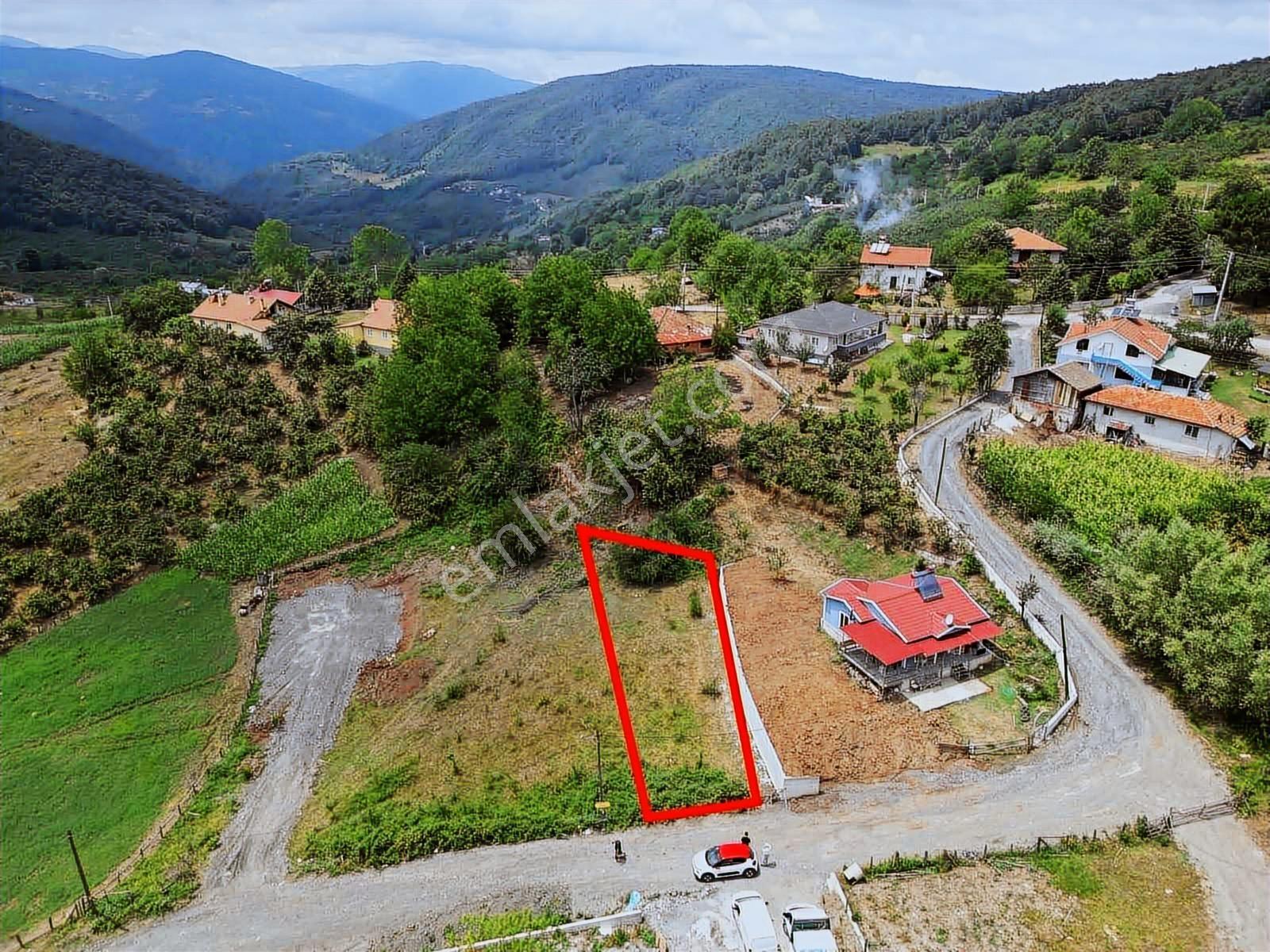 Ruşen Aydın Gayrimenkul'den Kaynaşlı Çamoluk Satılık Arsa - Görsel 2
