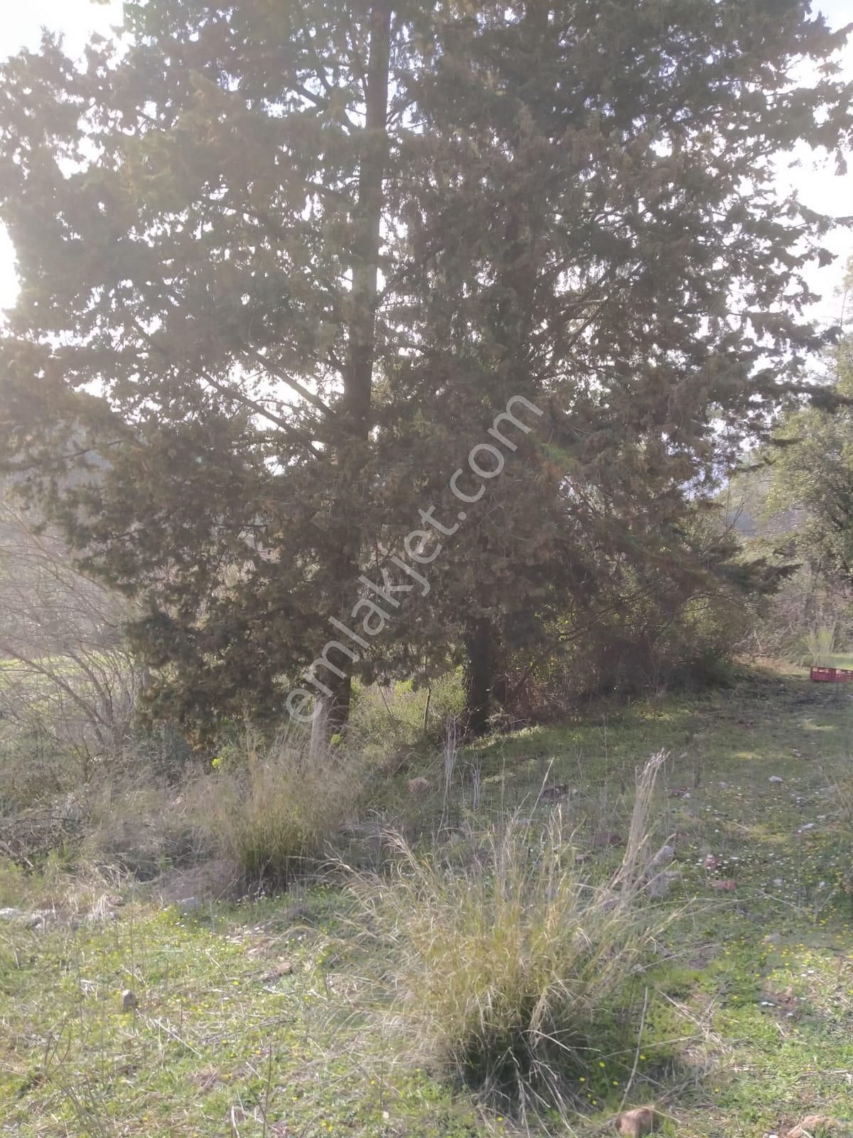 Klas Emlak'tan Karacören Mahallesinde Satılık Arazi 566 M² - Görsel 7