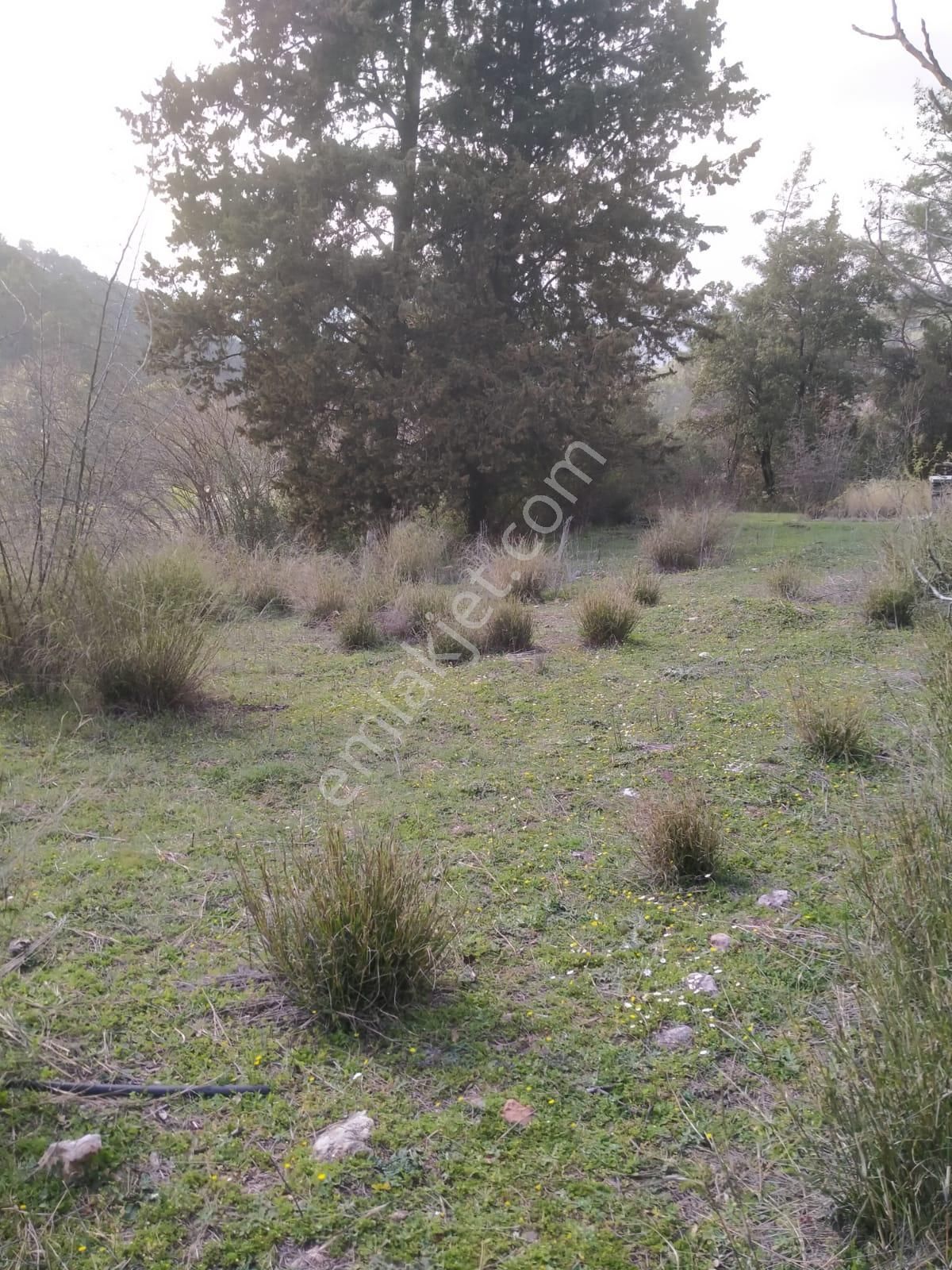 Klas Emlak'tan Karacören Mahallesinde Satılık Arazi 566 M² - Görsel 3