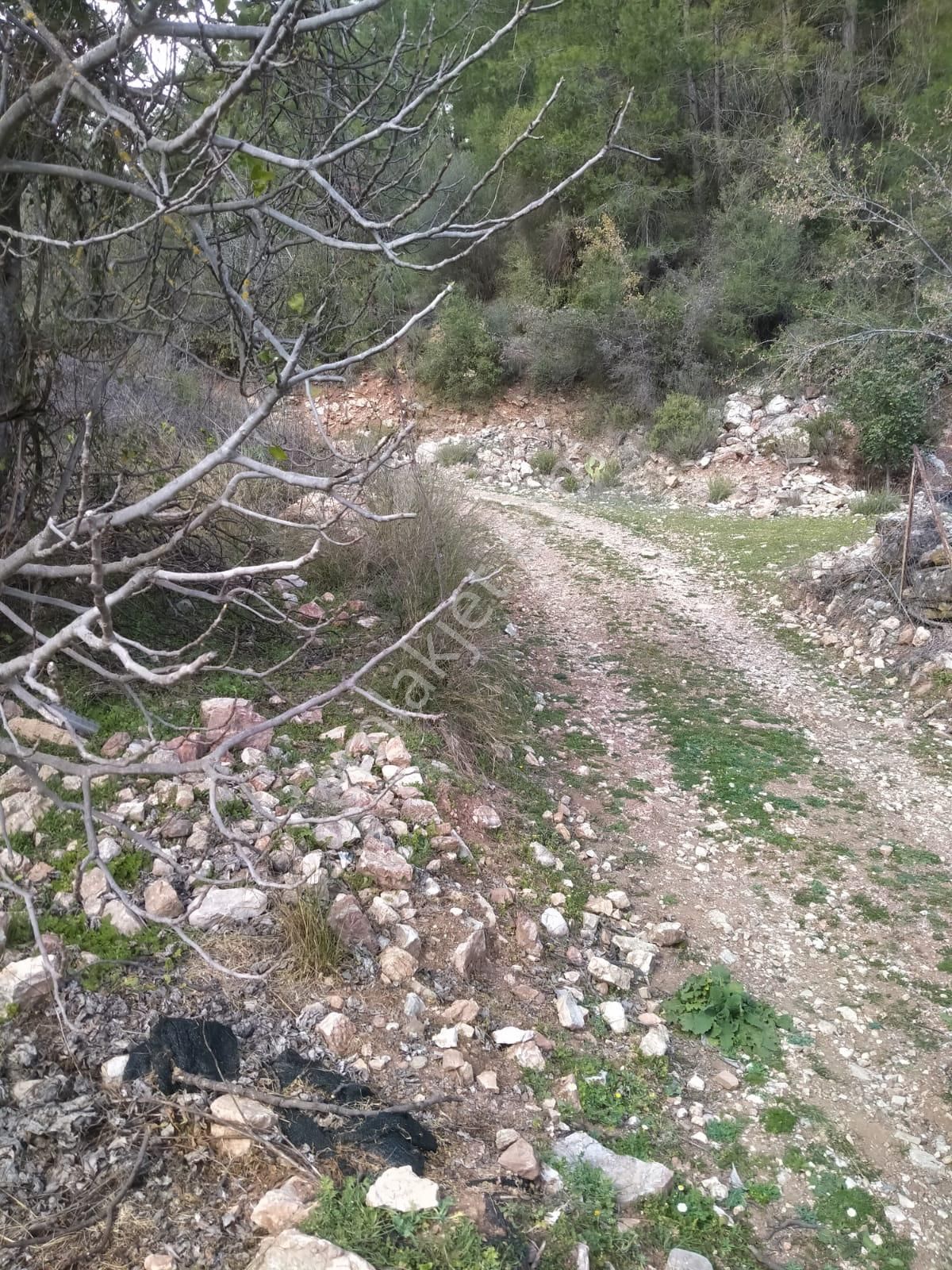 Klas Emlak'tan Karacören Mahallesinde Satılık Arazi 566 M² - Görsel 4