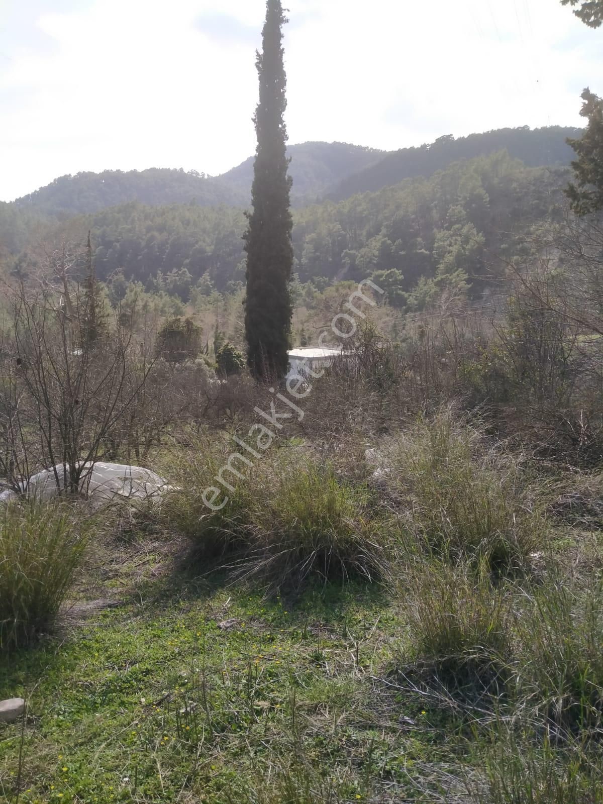 Klas Emlak'tan Karacören Mahallesinde Satılık Arazi 566 M²