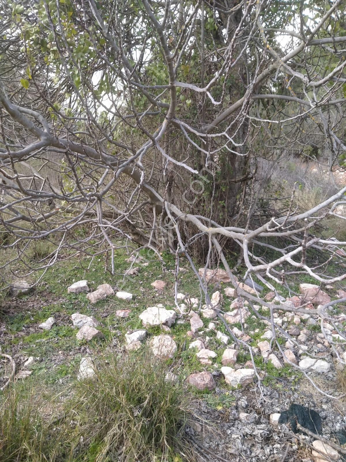 Klas Emlak'tan Karacören Mahallesinde Satılık Arazi 566 M² - Görsel 9