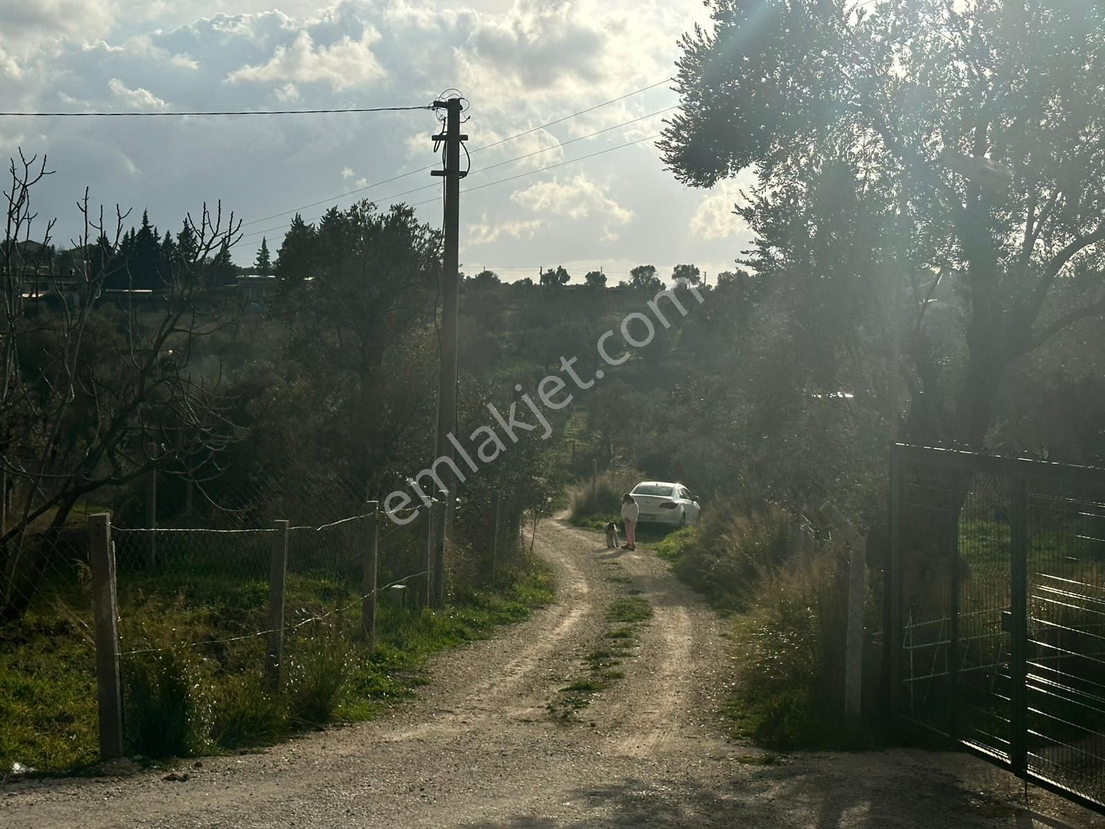 Acill Torbalı Yoğurtçular Da 235m2 Elektrik Su Aktif Etrafı Çevrili Resmi Tapulu Satılık Bahçe Tarla - Görsel 13