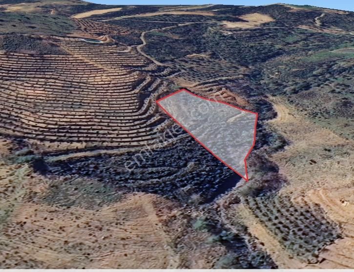 Salman'da Yatırım Ve Üretim Potansiyeli Yüksek Tarla - Görsel 4