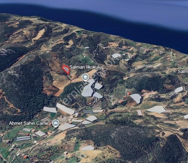 Salman'da Yatırım Ve Üretim Potansiyeli Yüksek Tarla