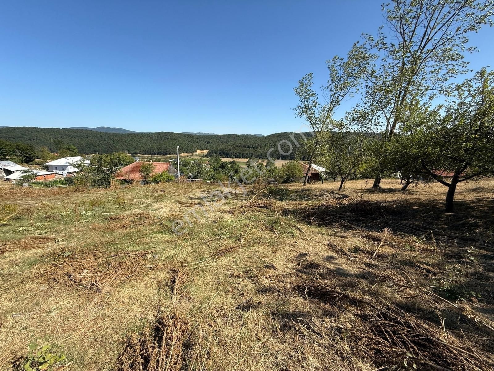 İznik Hacıosman Köyü Merkezde 330 M2 İmarlı Arsa - Görsel 2