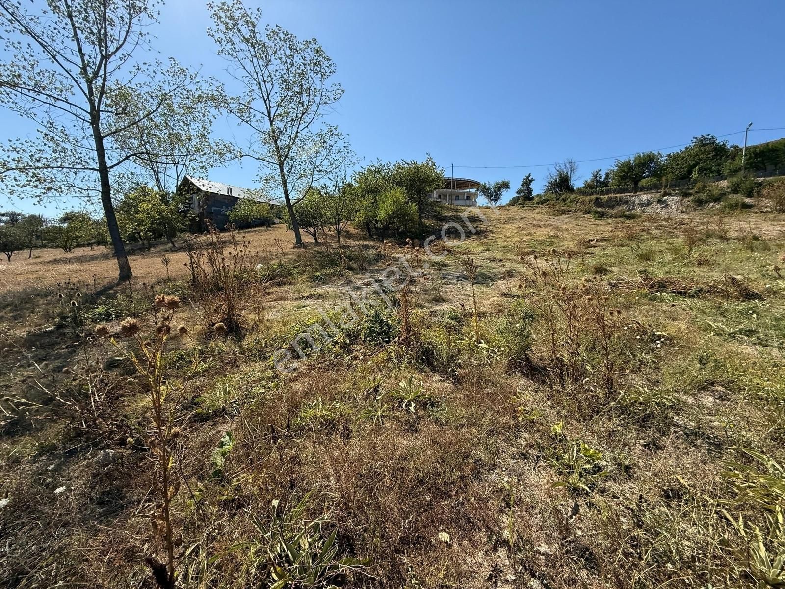 İznik Hacıosman Köyü Merkezde 330 M2 İmarlı Arsa - Görsel 3