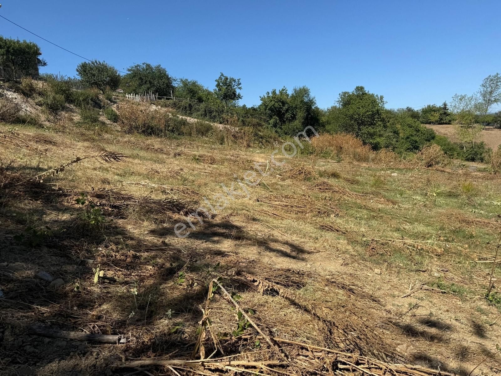 İznik Hacıosman Köyü Merkezde 330 M2 İmarlı Arsa - Görsel 7