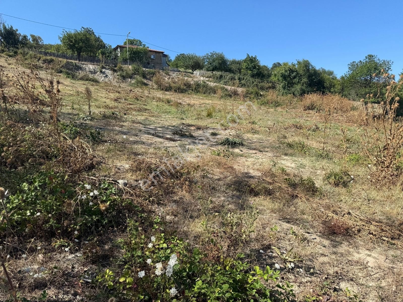 İznik Hacıosman Köyü Merkezde 330 M2 İmarlı Arsa - Görsel 4