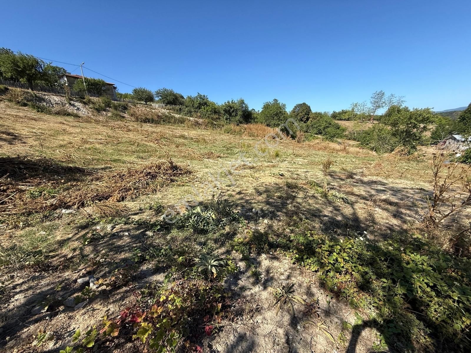 İznik Hacıosman Köyü Merkezde 330 M2 İmarlı Arsa - Görsel 10