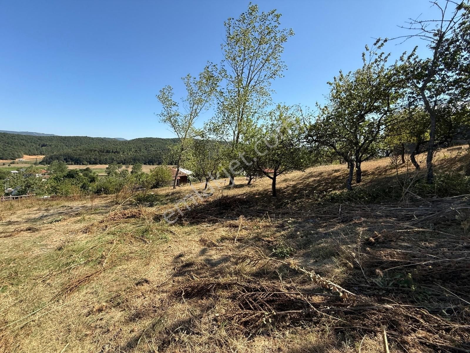 İznik Hacıosman Köyü Merkezde 330 M2 İmarlı Arsa - Görsel 5