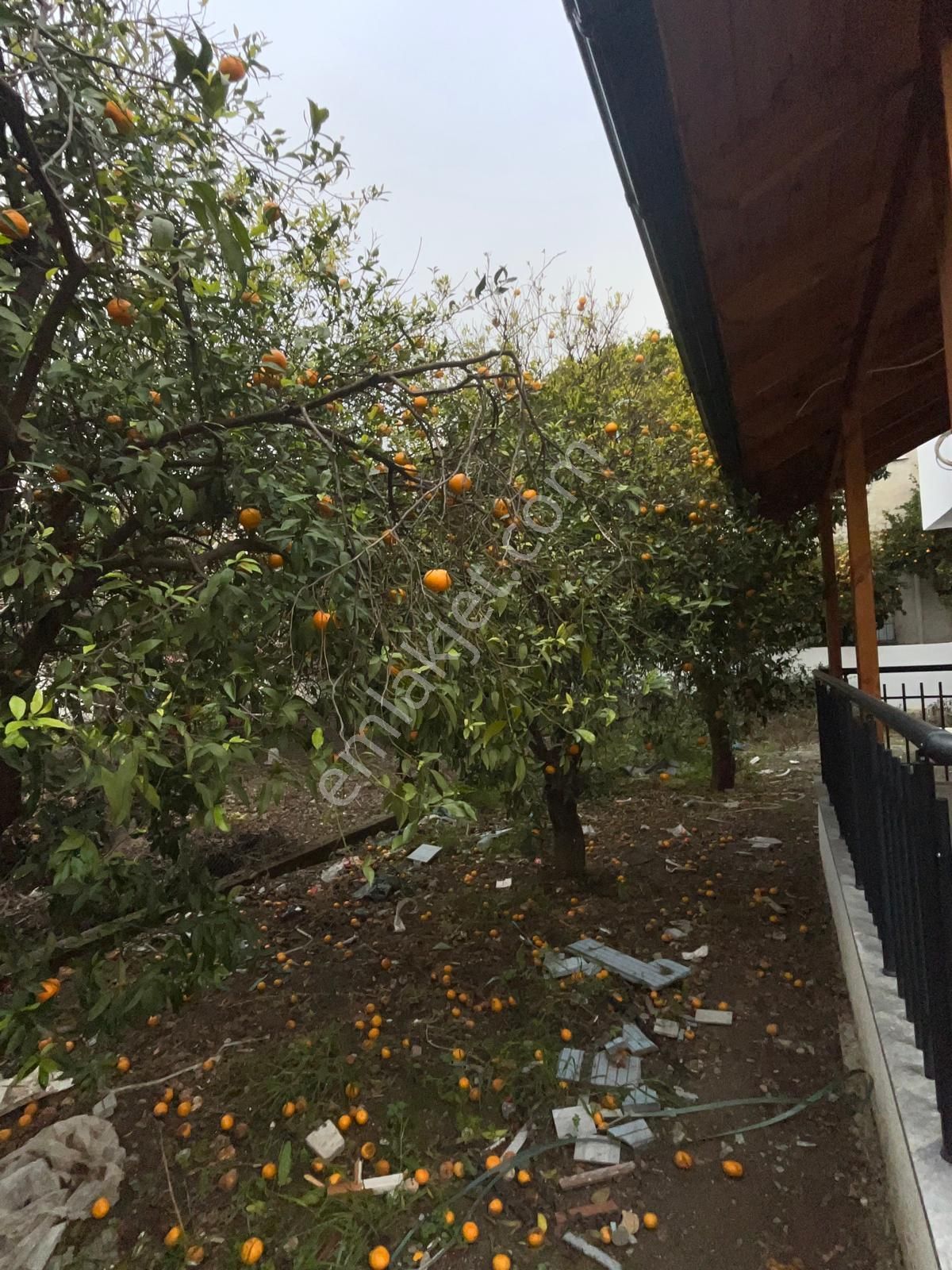 Köyceğiz Gelişim Mah. Satılık 2+1 Sıfır Giriş Katı Daire - Görsel 21