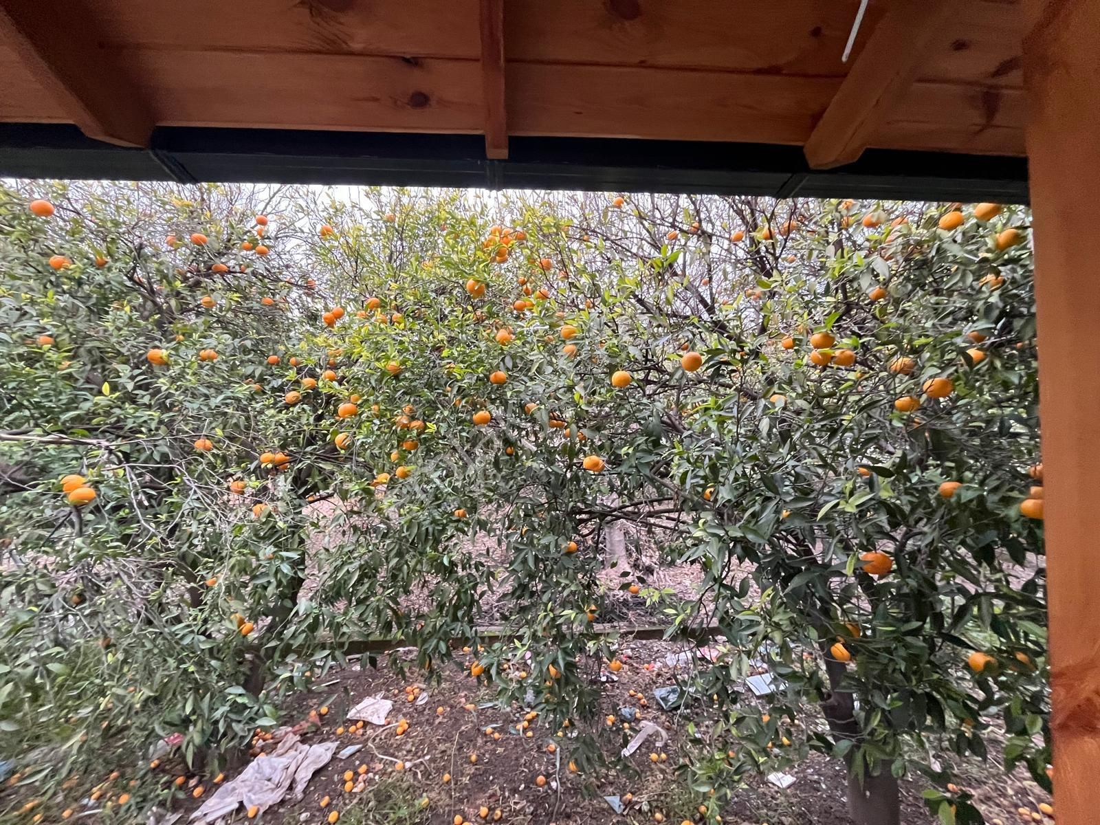 Köyceğiz Gelişim Mah. Satılık 2+1 Sıfır Giriş Katı Daire - Görsel 24