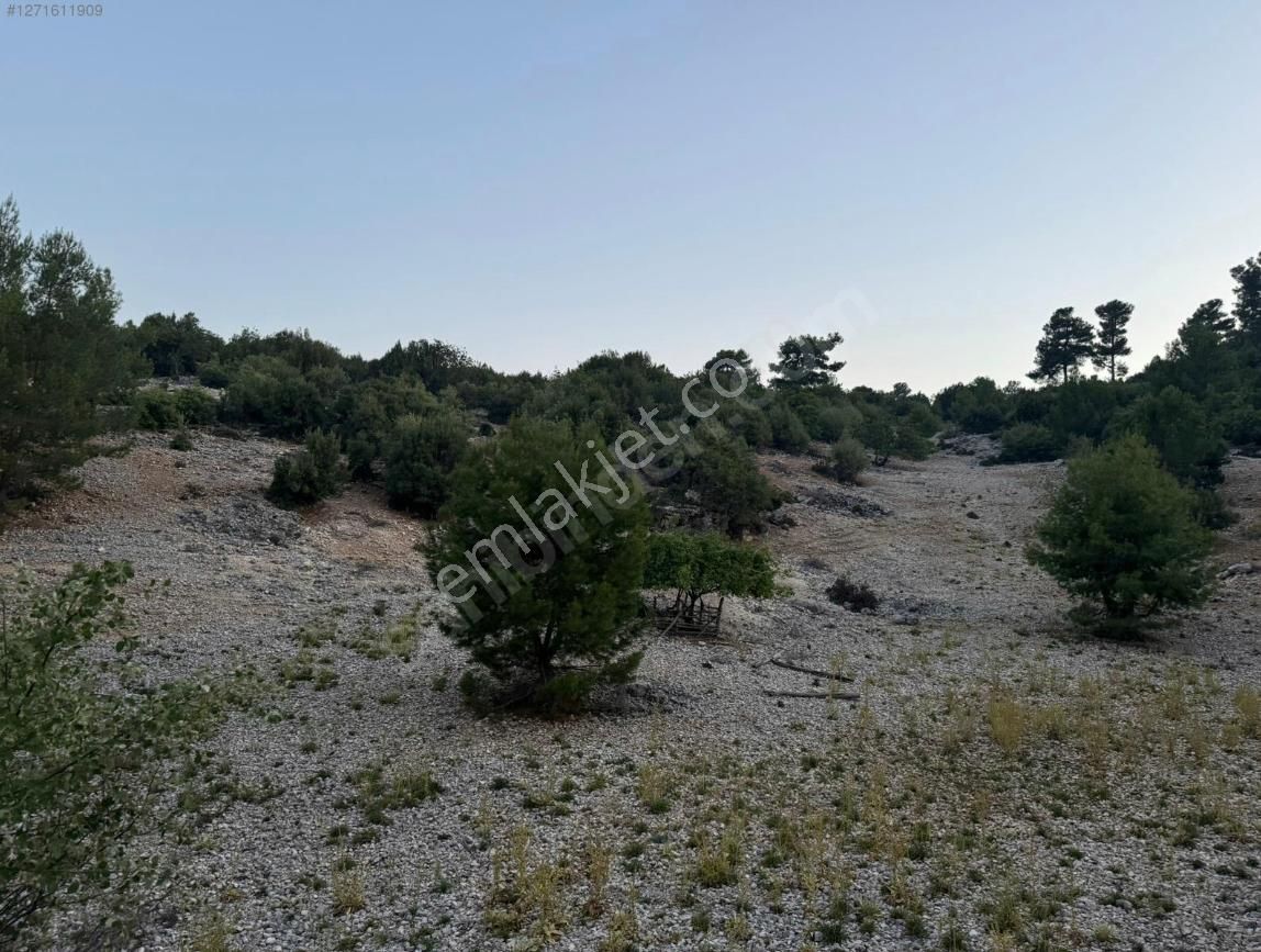 Antalya/kaş ,kemer Mahallesinde Satılık Yan Yana 2 Arsa - Görsel 5