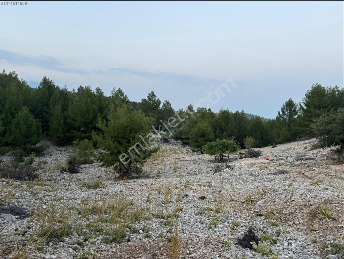 Antalya/kaş ,kemer Mahallesinde Satılık Yan Yana 2 Arsa - Görsel 3