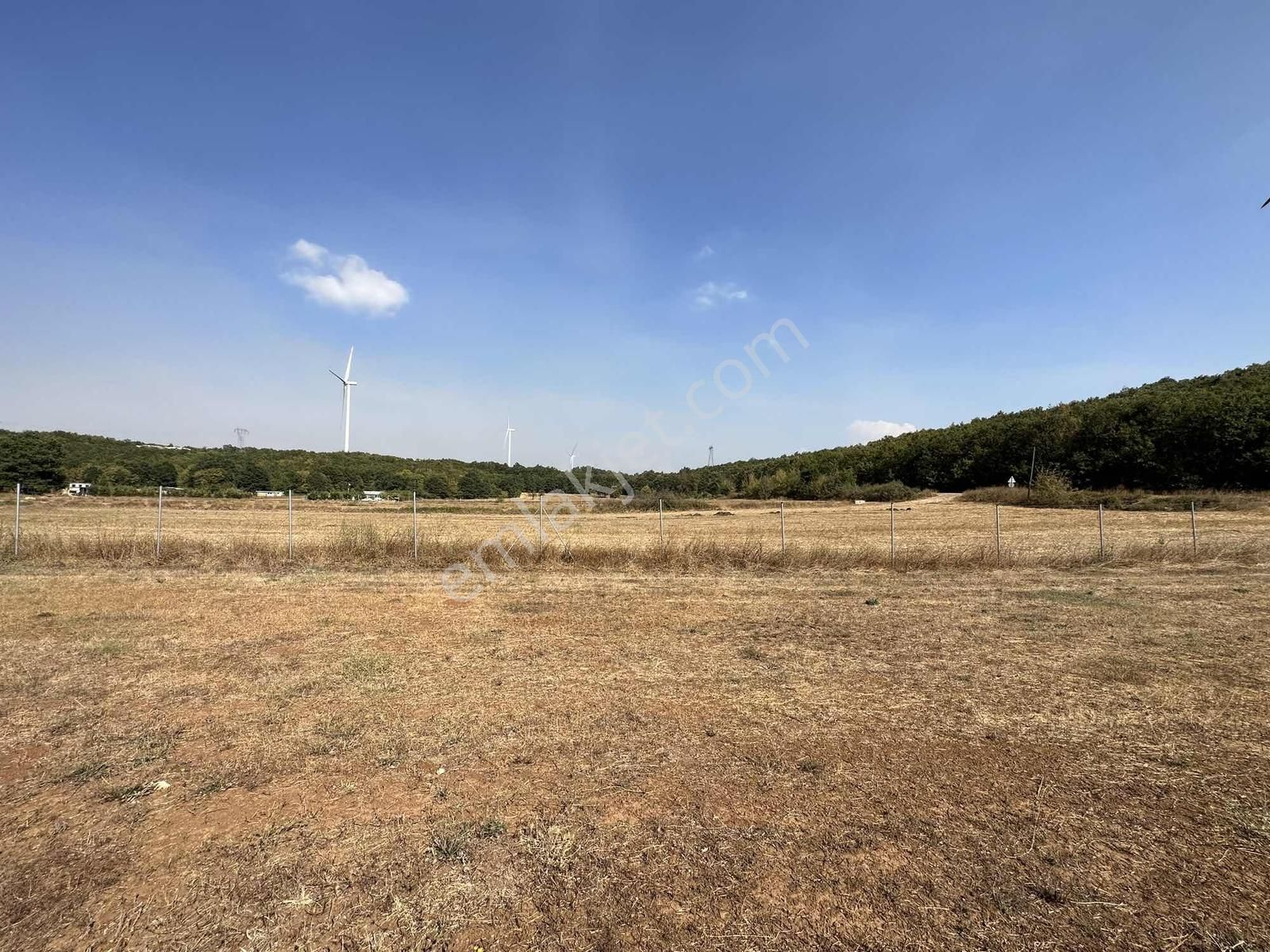 Unçukuru'nda Asfalt Yola Cephe Tel Örgülü 4.208m2 Satılık Arazi - Görsel 6