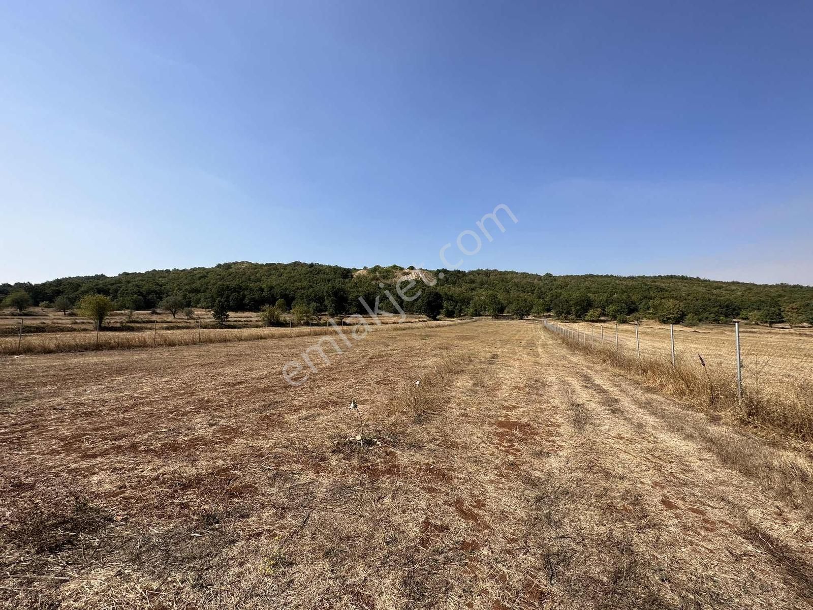 Unçukuru'nda Asfalt Yola Cephe Tel Örgülü 4.208m2 Satılık Arazi - Görsel 4