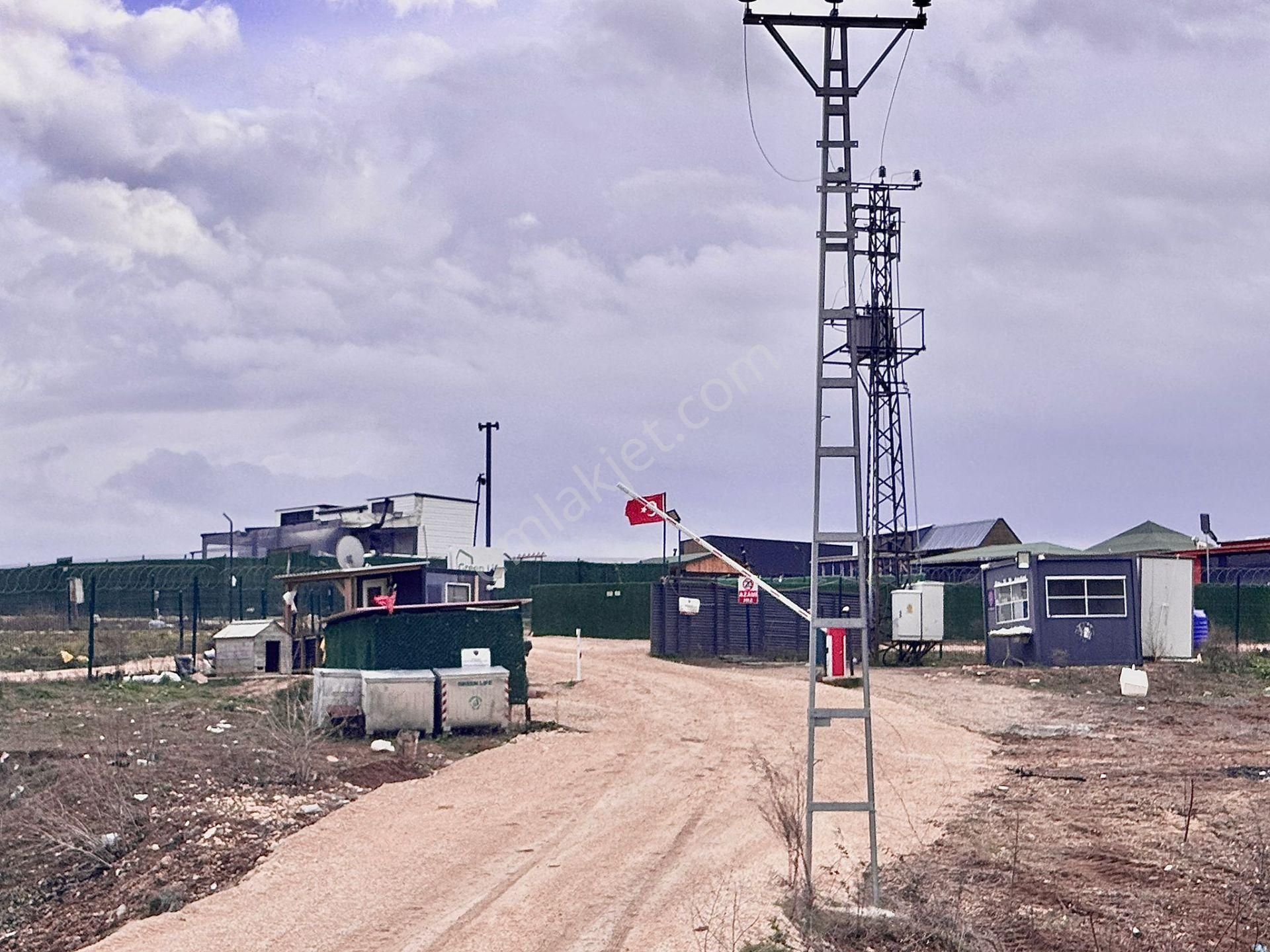 Goldhouse Dan Satılık Kabakça Da Site İçi Tiny House