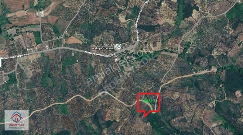 Erdem Yıldız'dan Mudanya Trilye'de 2500 M² Yatırımlık Tarla - Görsel 2