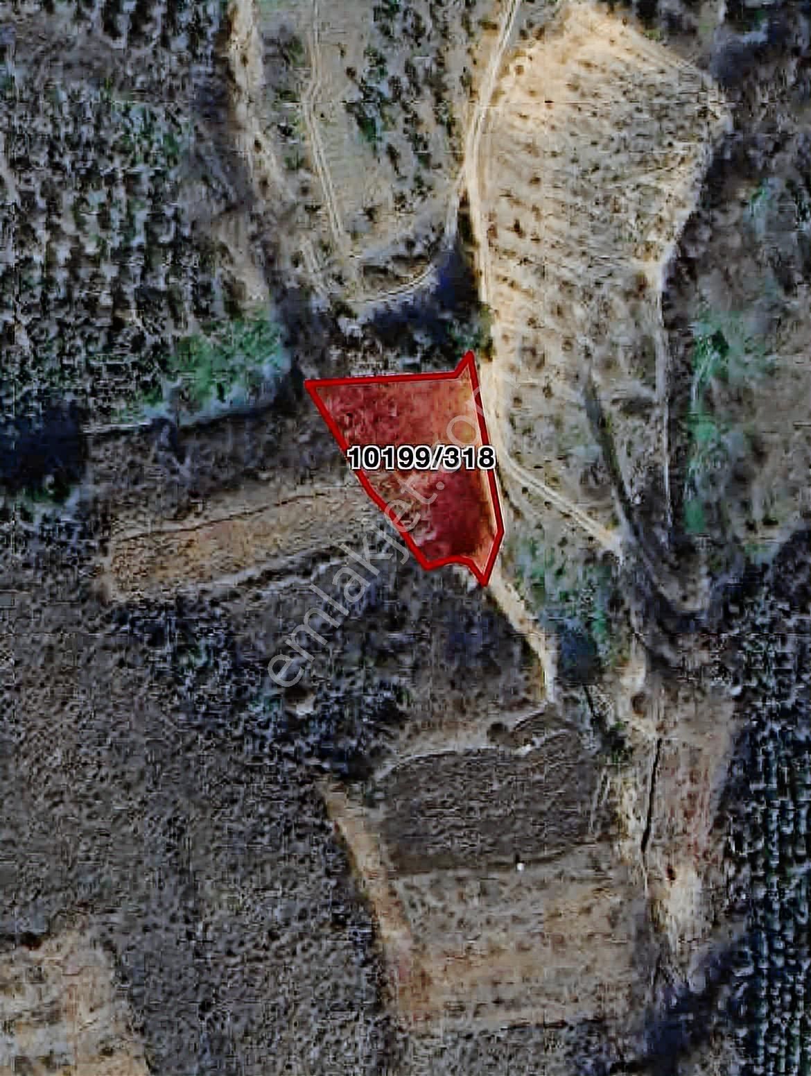 Fırsat Fiyat! Doğayla İç İçe, 1155 M² Satılık Arazi - Görsel 2