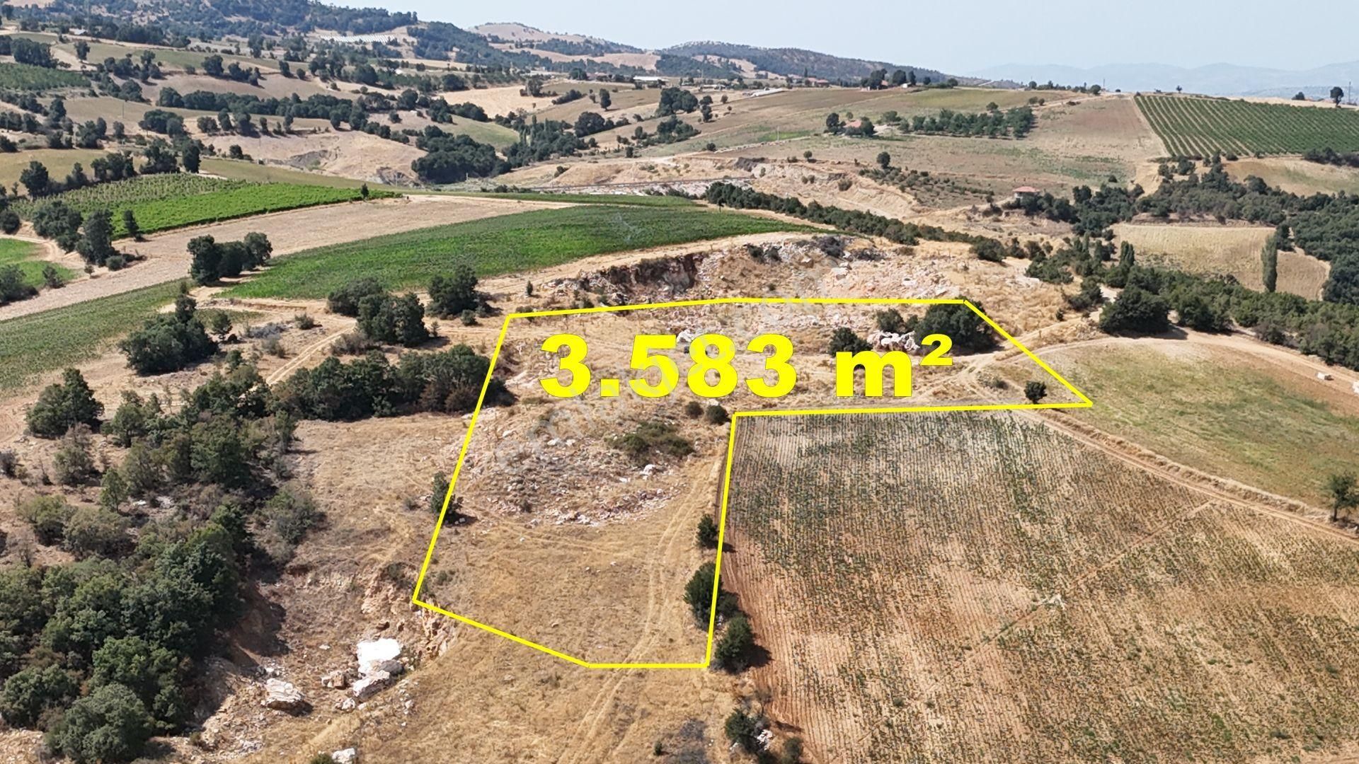 Denizli / Buldan / Karaköy Mahallesinde 3.583 M² Müstakil Tapulu Tarla