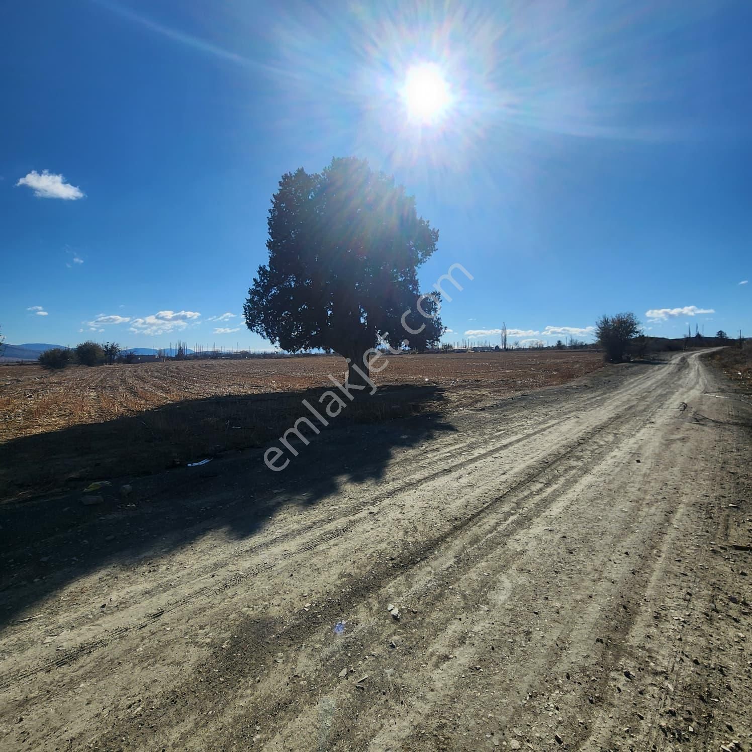 Ev Ve Araç Takasına Uygun Köy Yerleşim Sınırında 30 Dönüm Tarla - Görsel 7