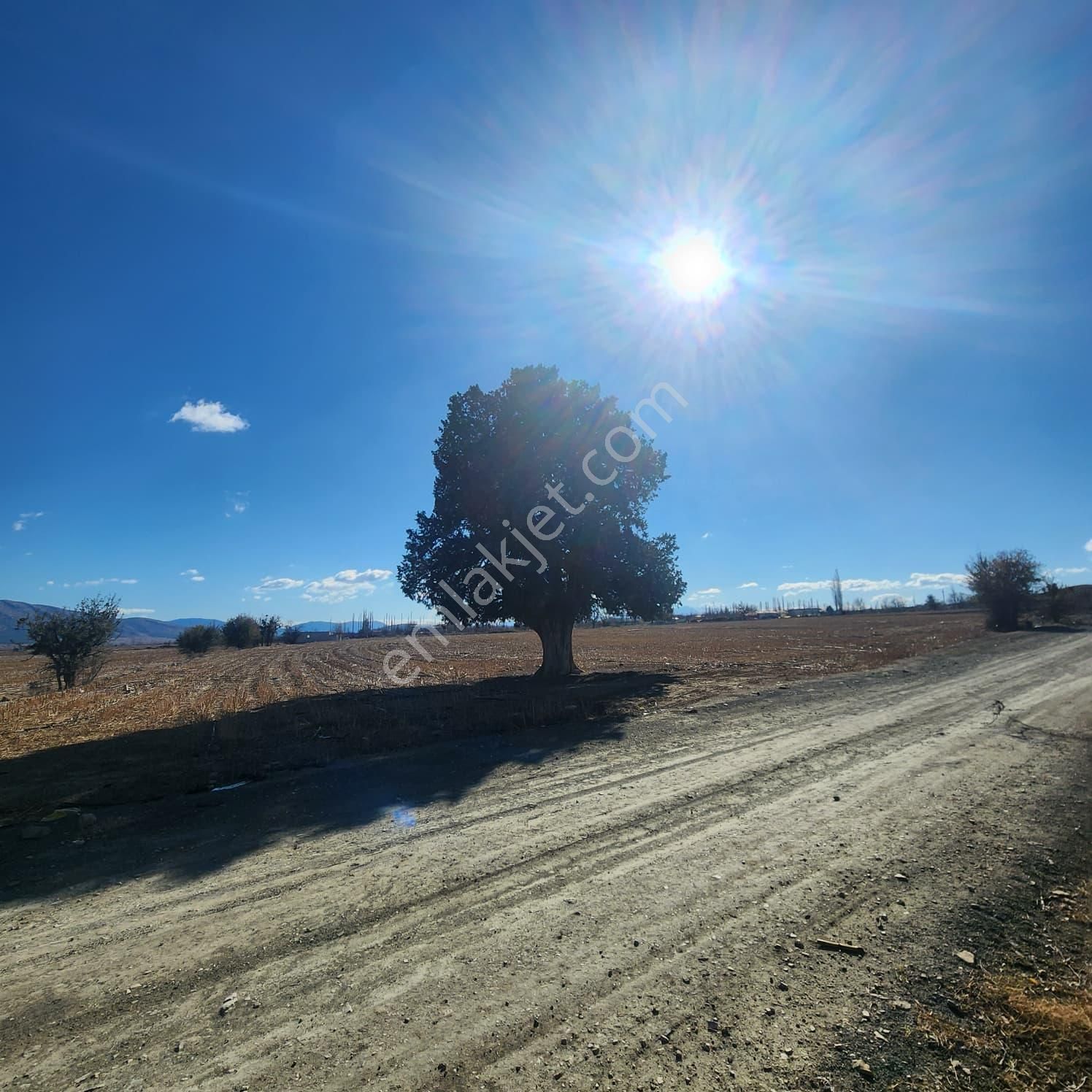 Ev Ve Araç Takasına Uygun Köy Yerleşim Sınırında 30 Dönüm Tarla - Görsel 8
