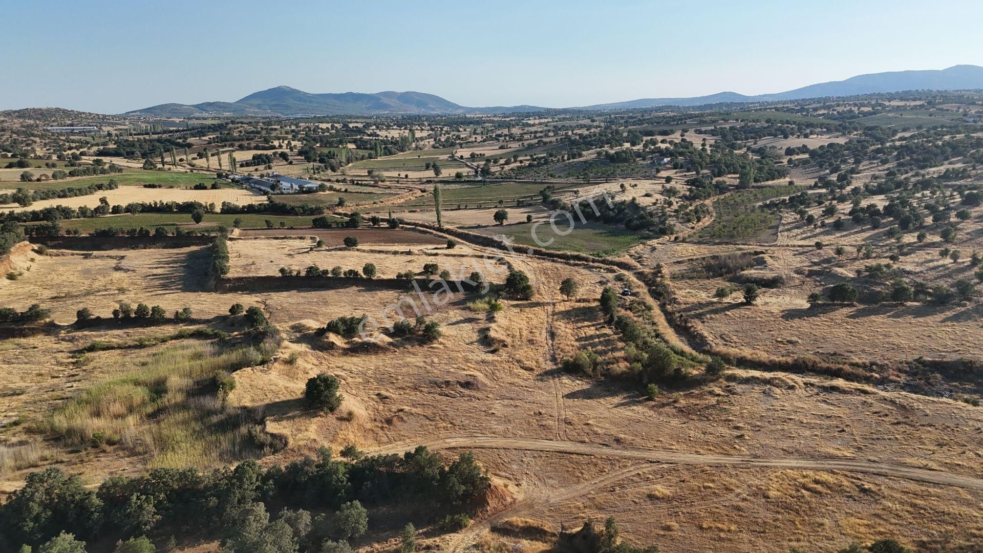 Uşak / Eşme / Dereköy Mahallesinde 1.048 M² Müstakil Tapulu Tarla - Görsel 8