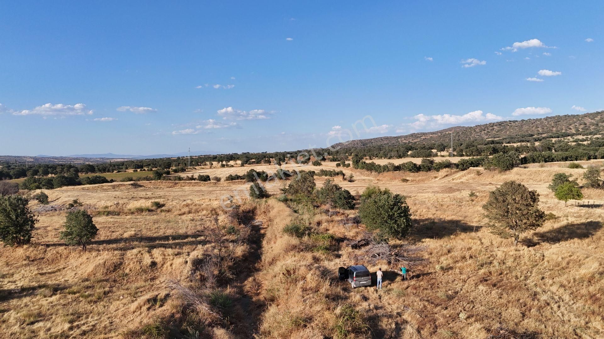 Uşak / Eşme / Dereköy Mahallesinde 1.048 M² Müstakil Tapulu Tarla - Görsel 5
