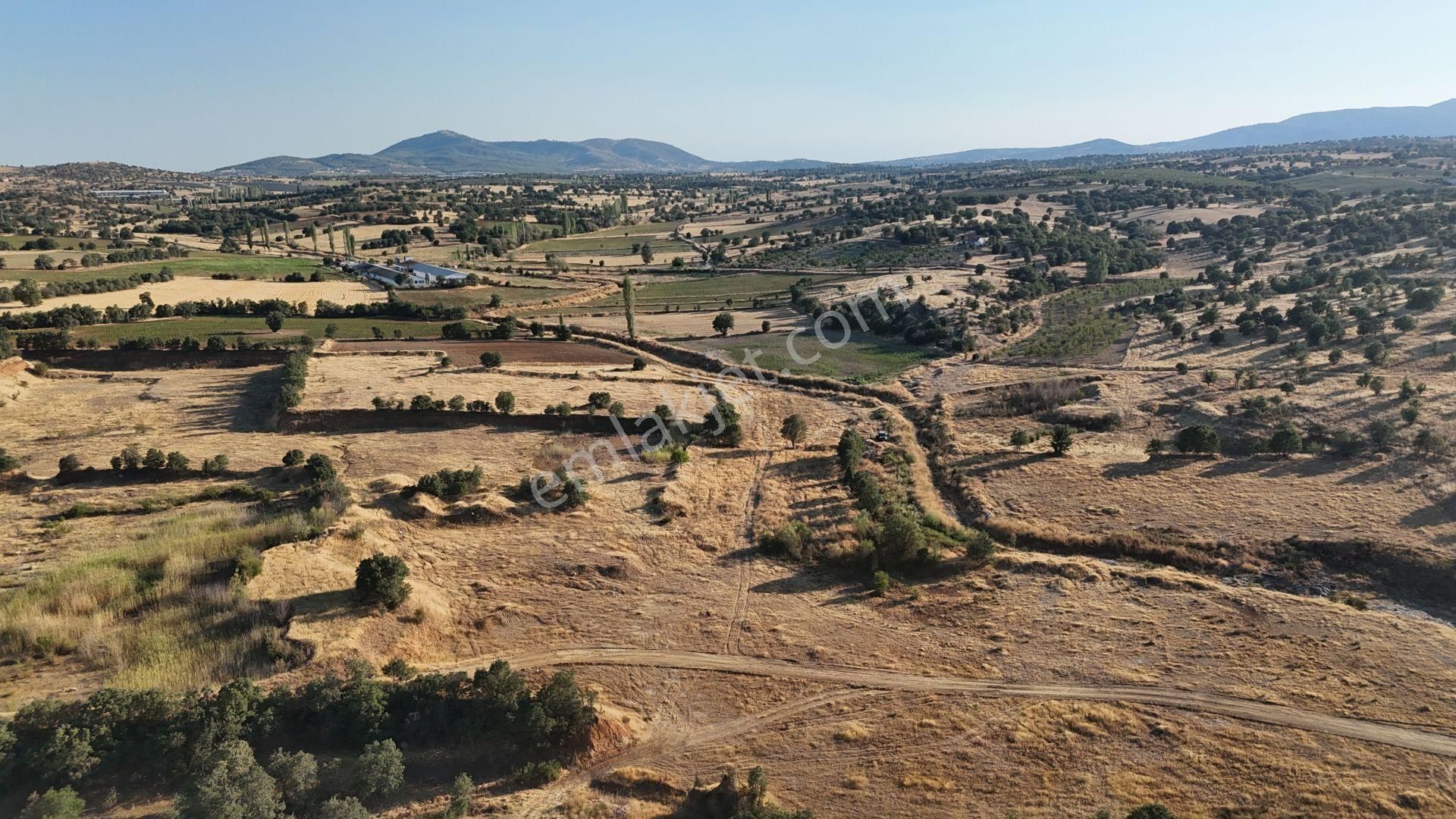Uşak / Eşme / Dereköy Mahallesinde 1.048 M² Müstakil Tapulu Tarla - Görsel 4