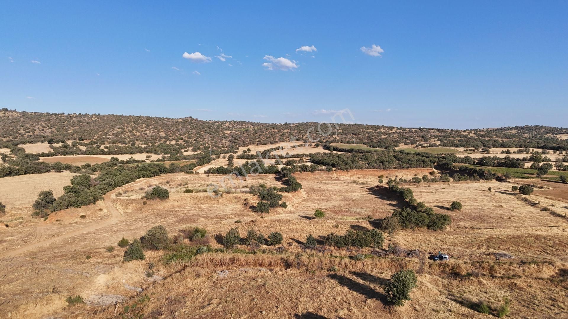 Uşak / Eşme / Dereköy Mahallesinde 1.048 M² Müstakil Tapulu Tarla - Görsel 7