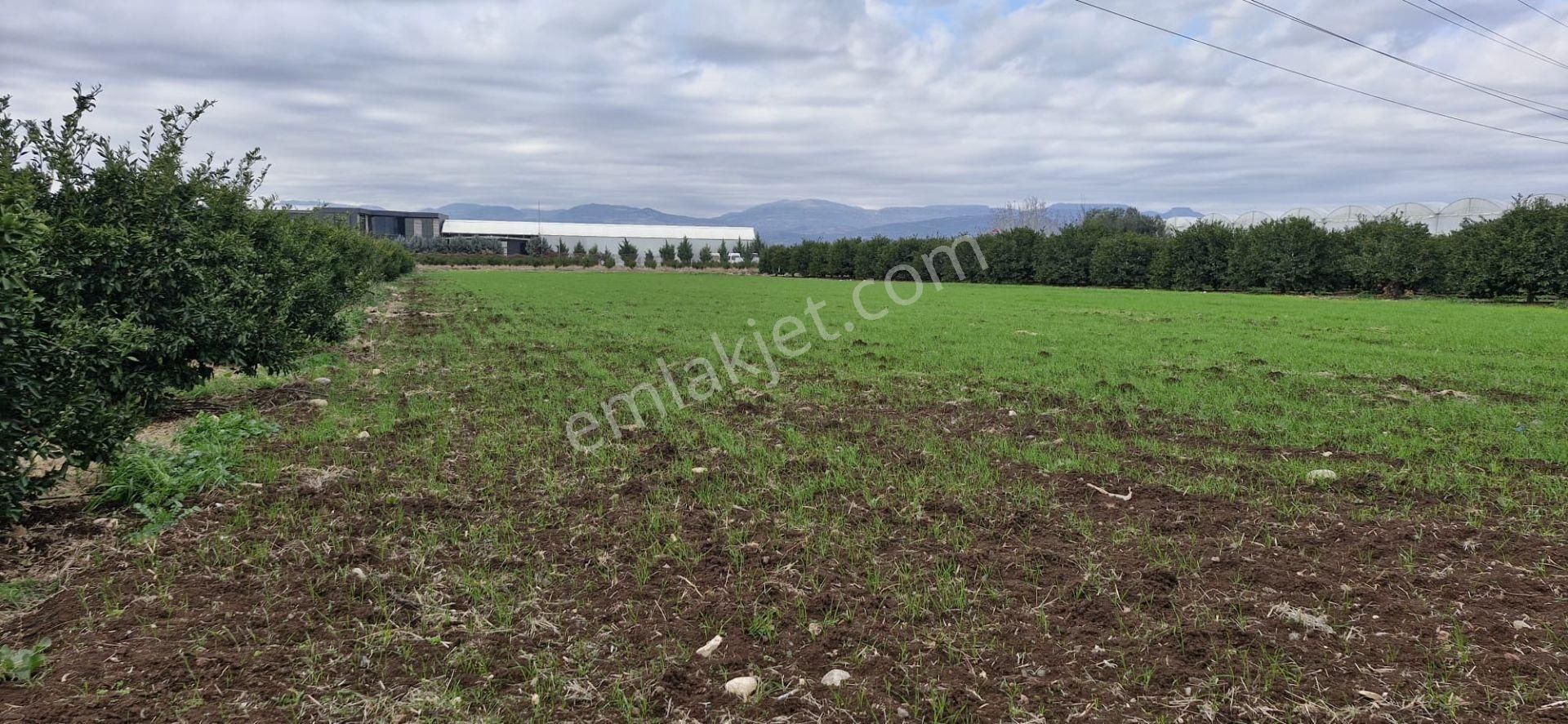 Mersin Kürkçü Köyü'nde Satılık 4.600 M Tarla - Görsel 9
