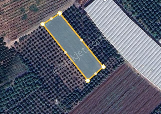 Mersin Kürkçü Köyü'nde Satılık 4.600 M Tarla - Görsel 11