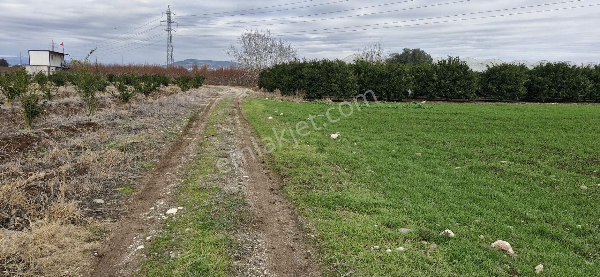 Mersin Kürkçü Köyü'nde Satılık 4.600 M Tarla - Görsel 8