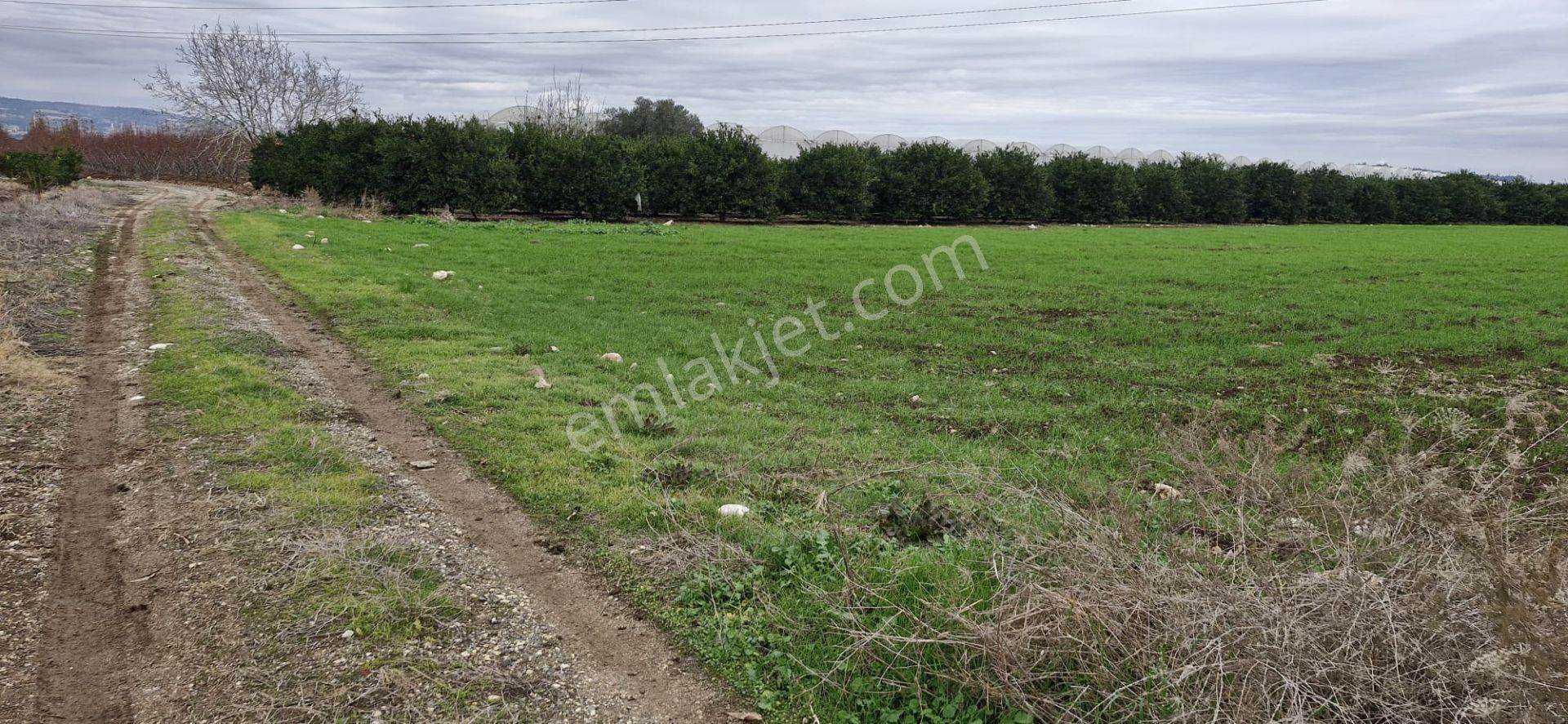 Mersin Kürkçü Köyü'nde Satılık 4.600 M Tarla - Görsel 10