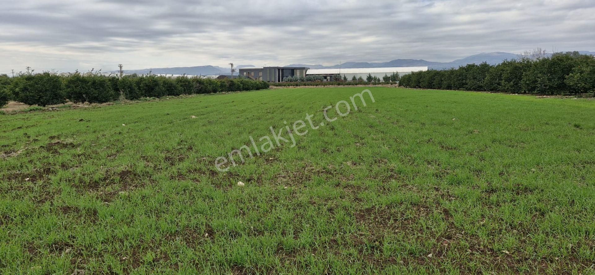 Mersin Kürkçü Köyü'nde Satılık 4.600 M Tarla