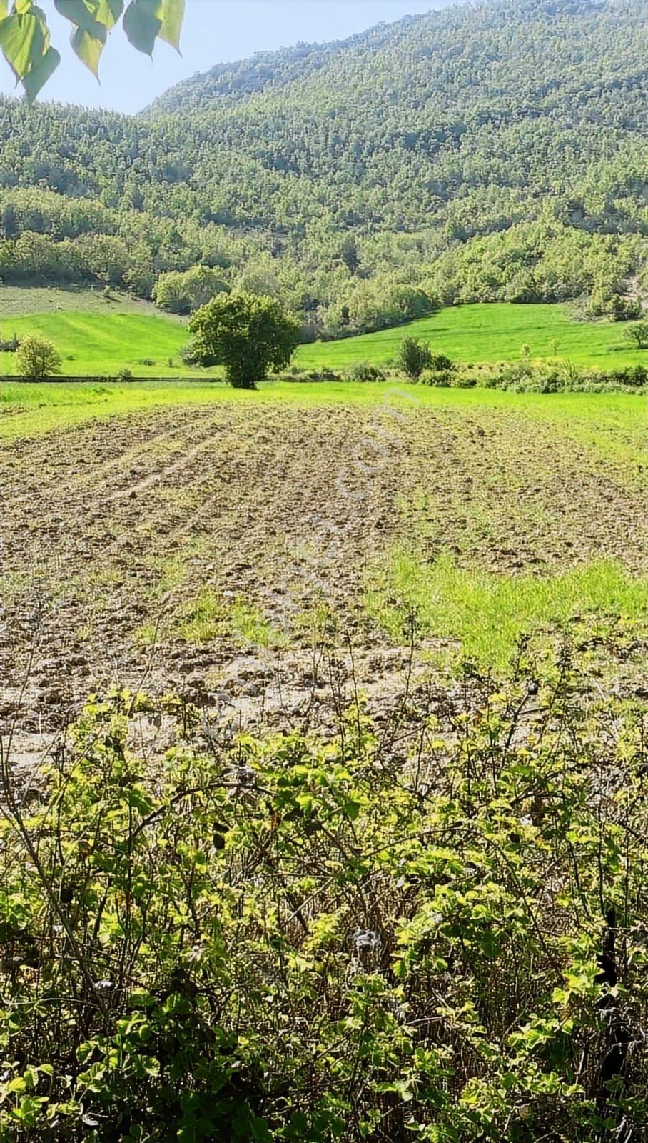 Bursa Yenişehir Burcunda Satılık Tarla - Görsel 8