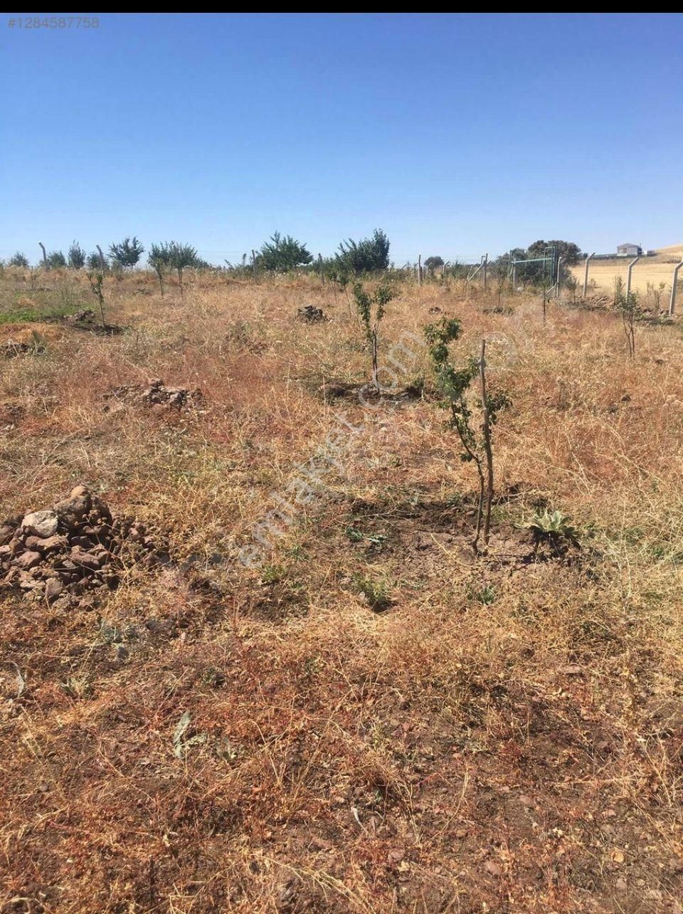 Çankayada Kaçırılmayacak Yatırımlık Arsa - Görsel 2