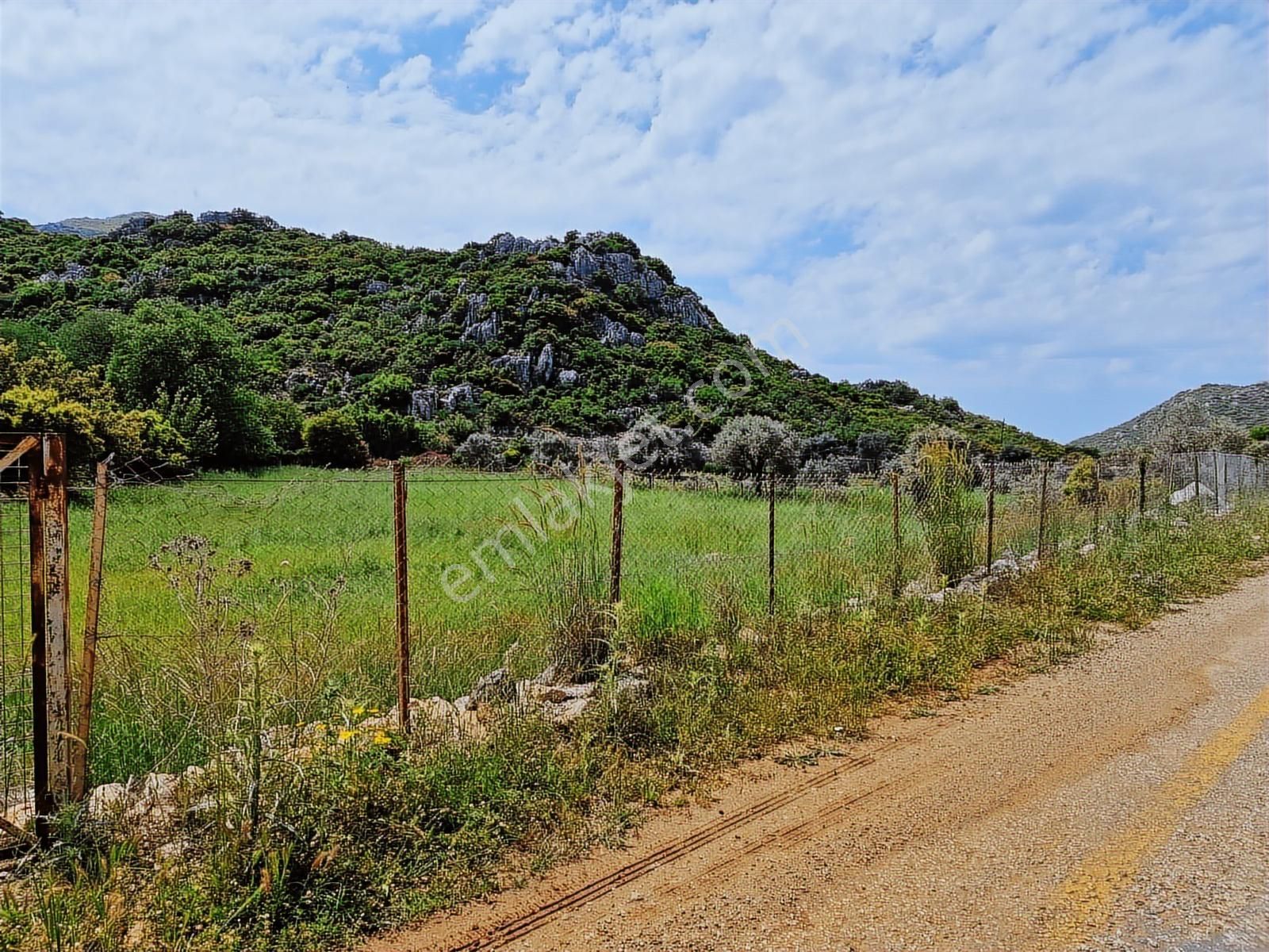 Marvera'dan Marmaris Söğüt'te 3743 M2 Yola Sıfır Hissesiz Tarla - Görsel 2