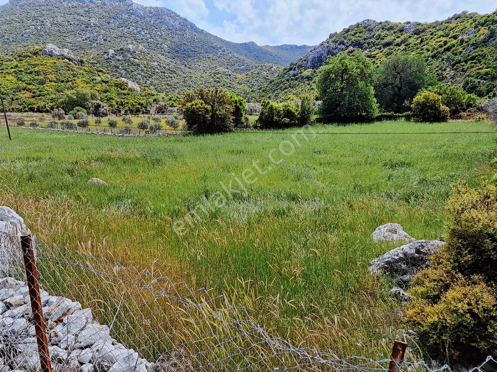 Marvera'dan Marmaris Söğüt'te 3743 M2 Yola Sıfır Hissesiz Tarla - Görsel 4