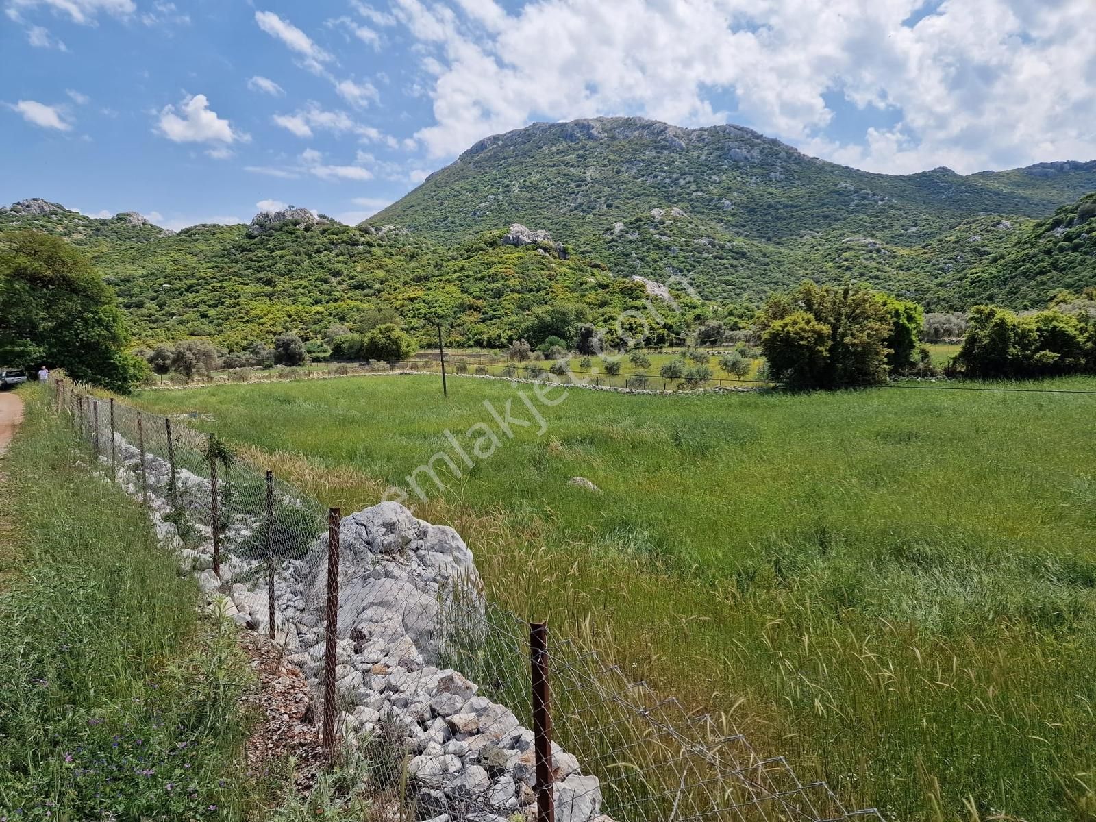 Marvera'dan Marmaris Söğüt'te 3743 M2 Yola Sıfır Hissesiz Tarla - Görsel 5