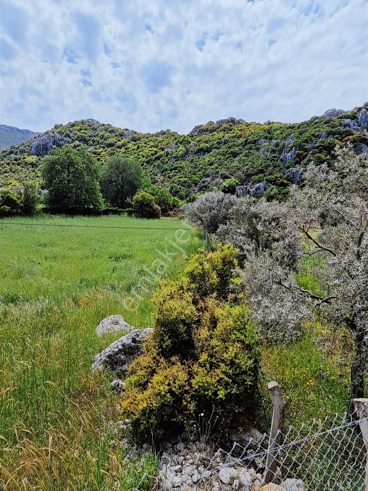 Marvera'dan Marmaris Söğüt'te 3743 M2 Yola Sıfır Hissesiz Tarla - Görsel 3