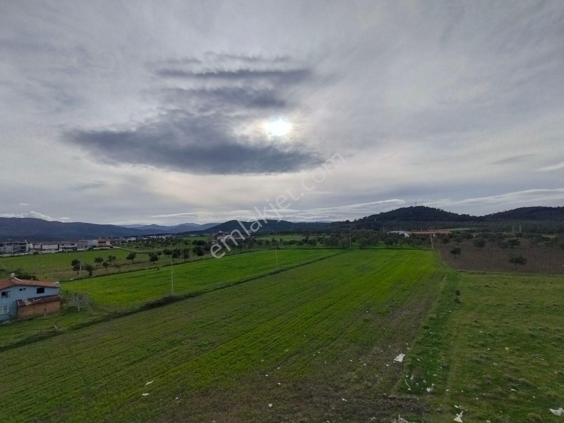 Balıkesir Burhaniye Badem Alanımda - Görsel 10