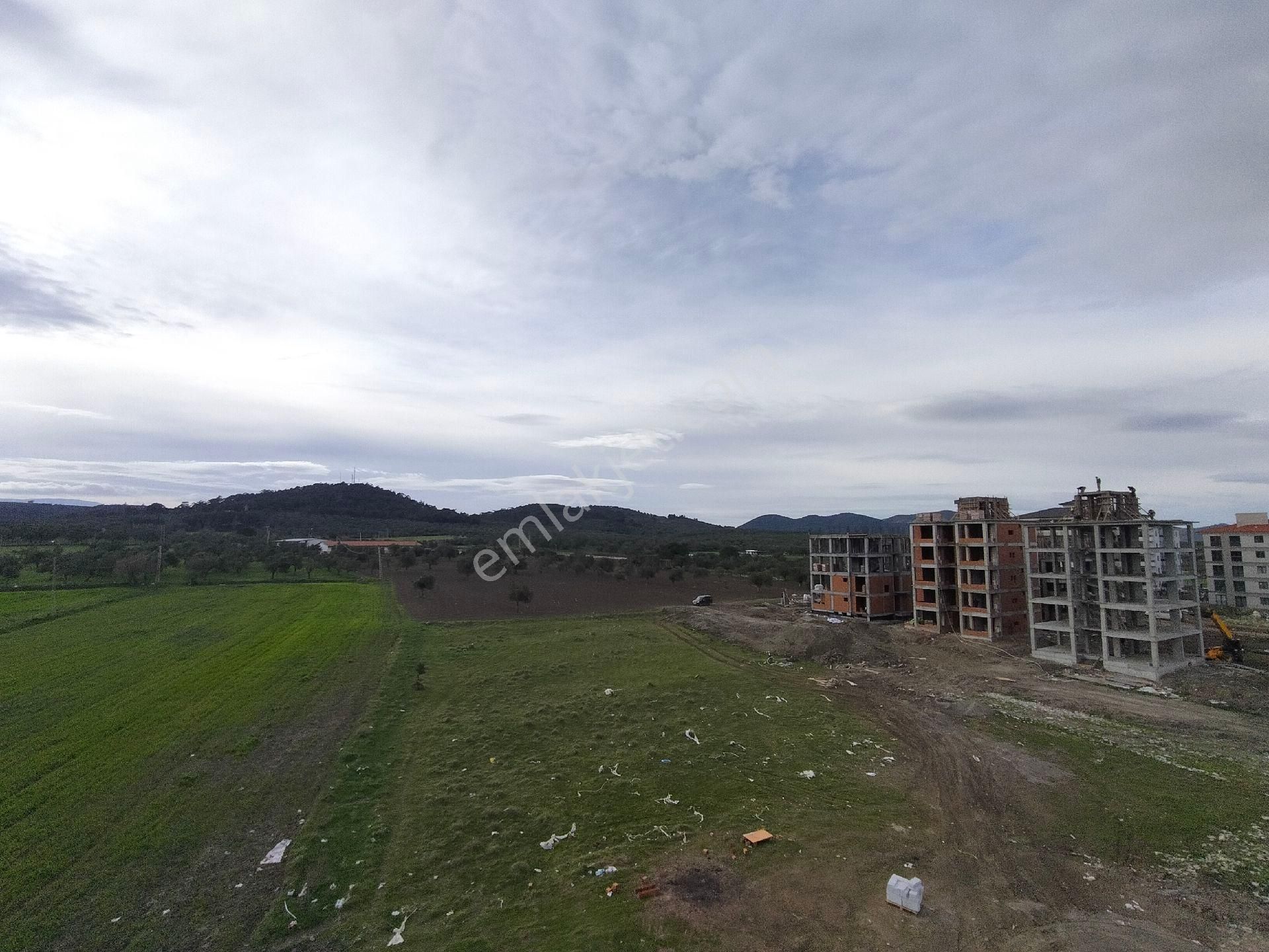 Balıkesir Burhaniye Badem Alanımda - Görsel 12